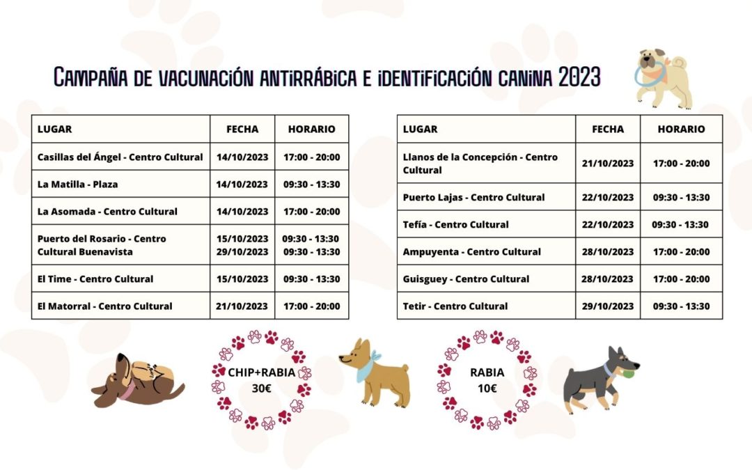 Puerto del Rosario inicia en octubre la Campaña de vacunación antirrábica e identificación canina 2023