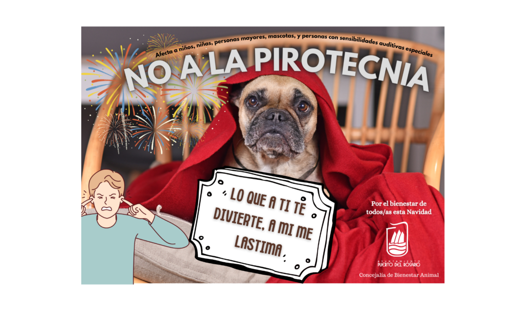 El Ayuntamiento de Puerto del Rosario pide evitar usar la pirotecnia para proteger a las mascotas y personas sensibles al ruido