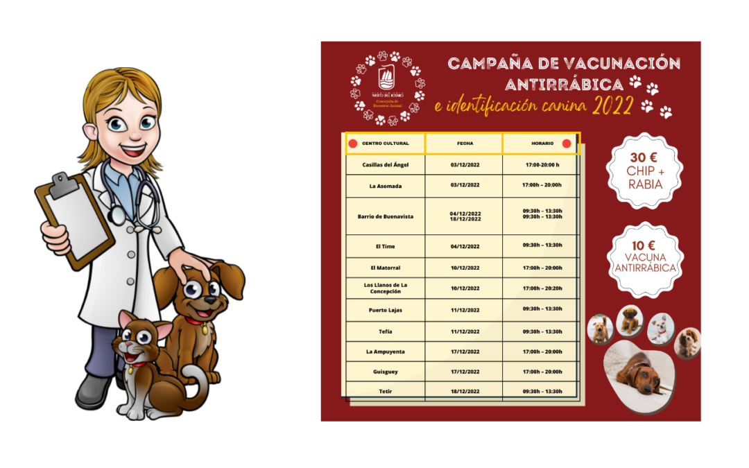 Puerto del Rosario inicia el 3 de diciembre la Campaña de vacunación antirrábica e identificación canina 2022