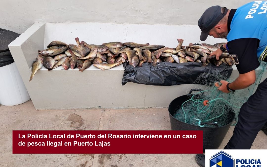 La Policía Local de Puerto del Rosario interviene en un caso de pesca ilegal en Puerto Lajas