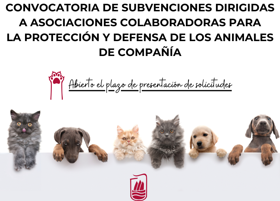 Puerto del Rosario impulsa la defensa y bienestar animal con nuevas subvenciones destinadas a asociaciones locales