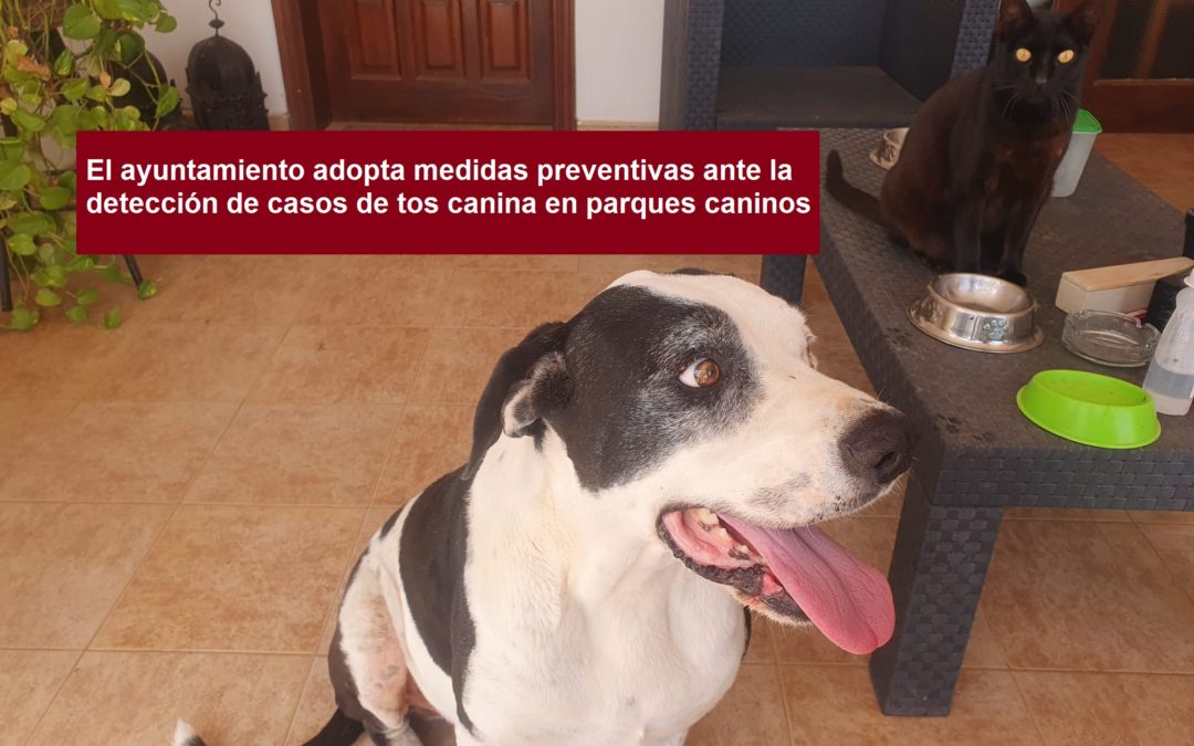 Medidas preventivas ante la detección de casos de tos canina en parques caninos